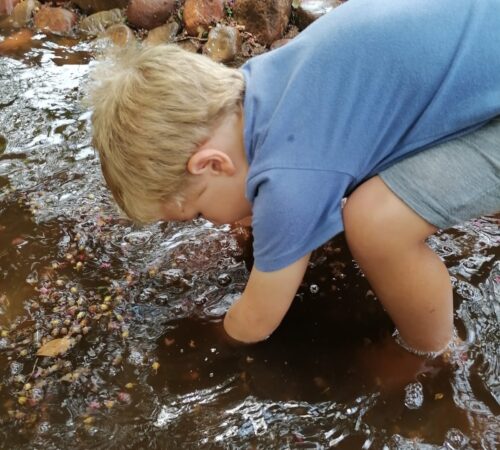 IMG-20230130-WA0108