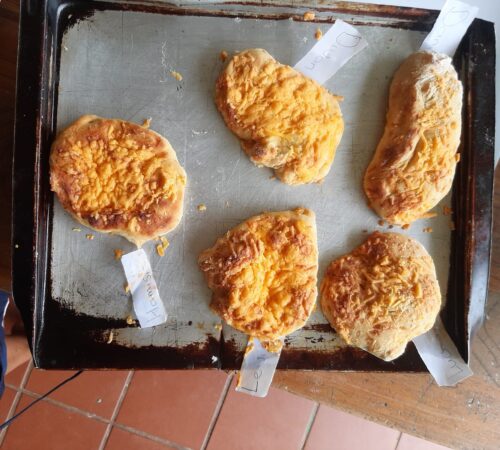 IMG-20230217-WA0184
