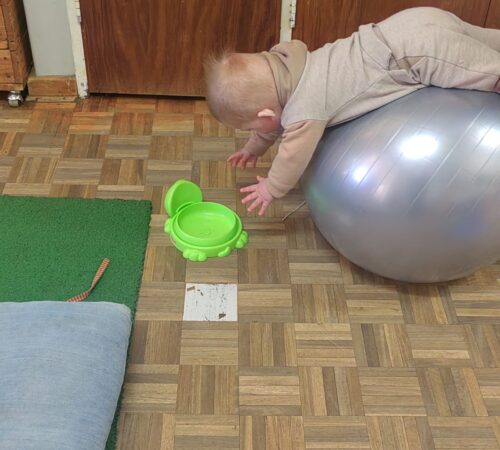 IMG-20250813-WA0232