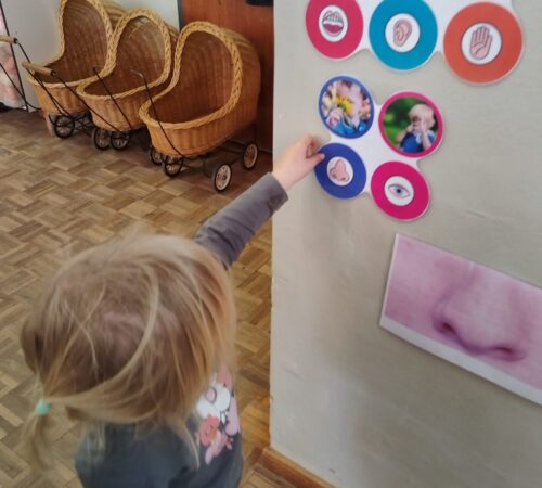 WhatsApp Image 2025-07-22 at 13.26.53_58663a1b