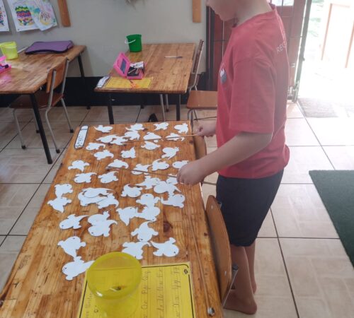 IMG-20251018-WA0011