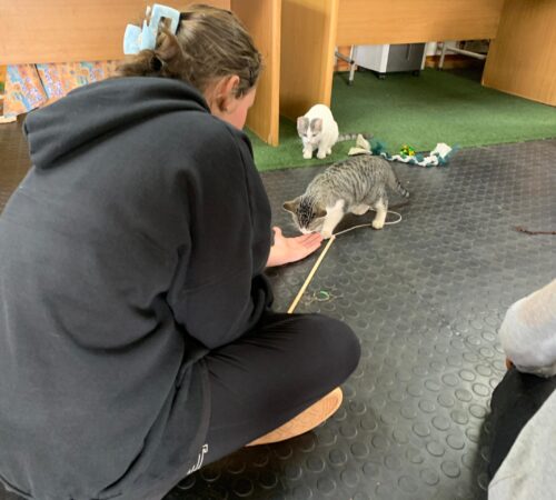 IMG-20250813-WA0128
